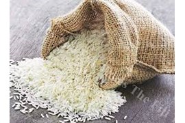 تولیدی برنج