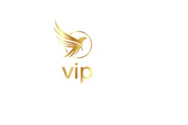 وی آی پی گروپ ویزا - VIP Group Visa