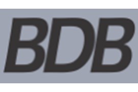 مصالح ساختمانی BDB
