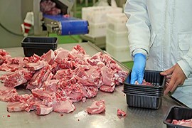 صنایع بسته بندی گوشت ارشیا